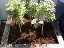 plantenbak-1.jpg