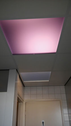 gekleurde platen met lichtdoorlaat kunststof acrylaat