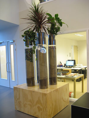 plexiglas buis transparant met waterdichte voet voor planten